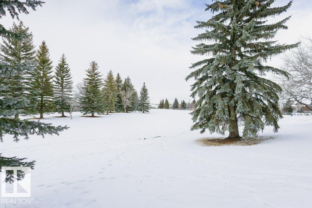 9206 91 St, Fort Saskatchewan, Alberta  T8L 1L2 - Photo 58 - E4469363