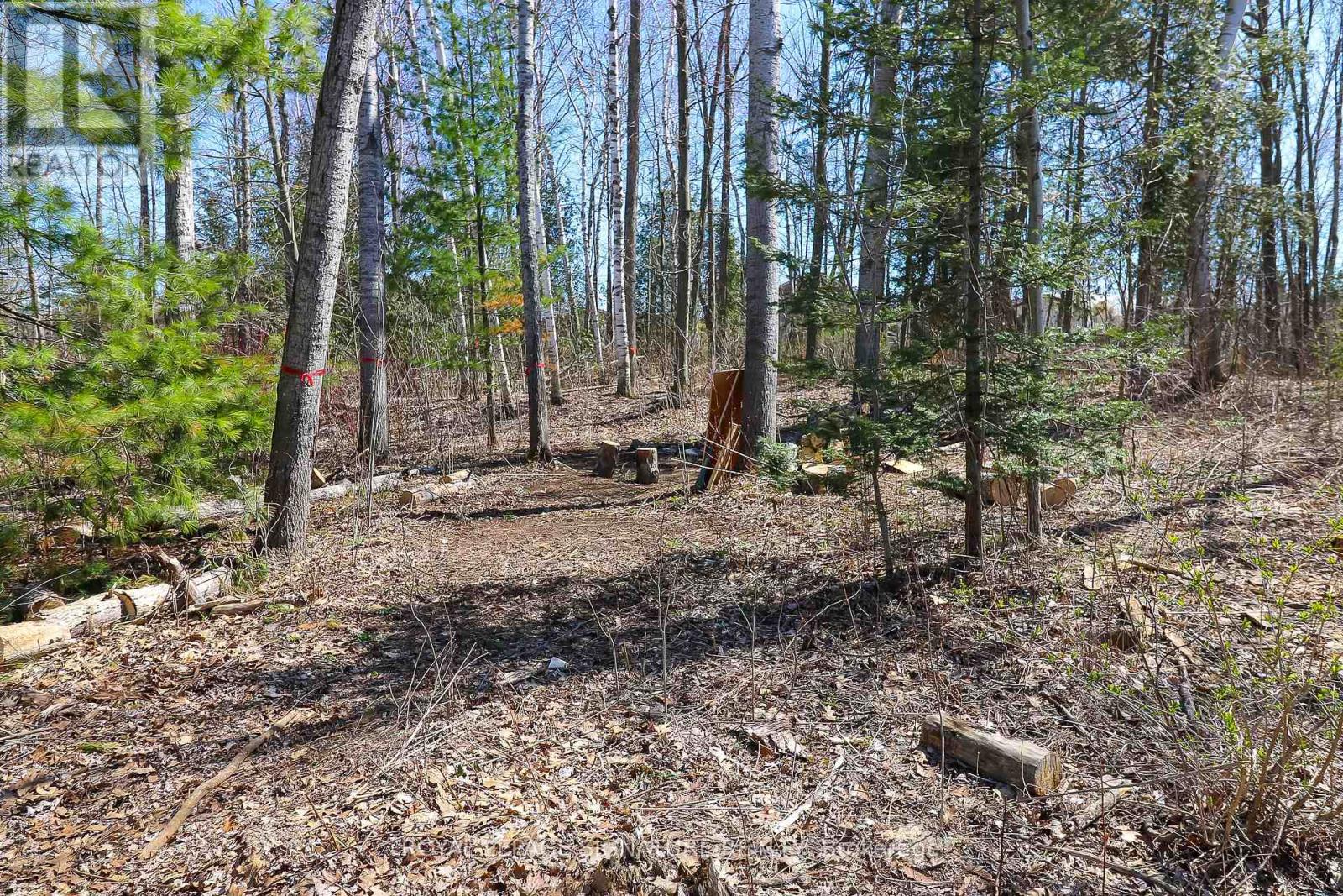 3 Brillinger Drive, Wasaga Beach, Ontario  L9Z 1L4 - Photo 21 - S12682456