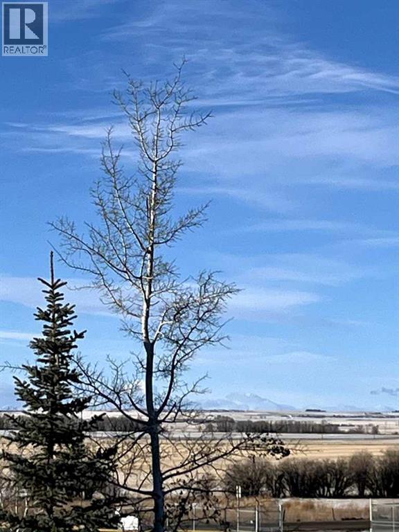 152 Sunrise Terrace Ne, High River, Alberta  T1V 0C2 - Photo 13 - A2276932