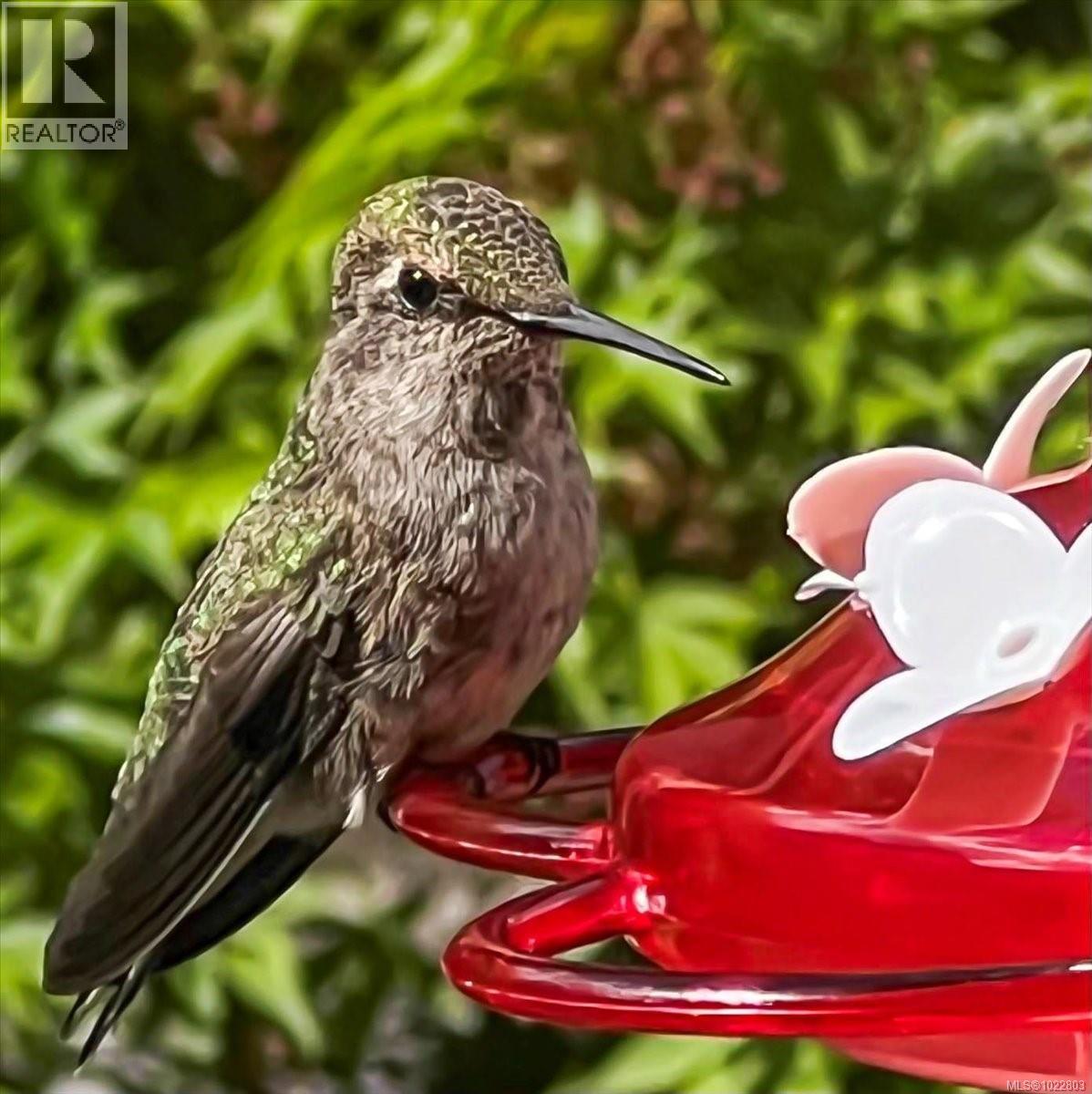 211 770 Poplar St, Nanaimo, British Columbia  V9S 2H6 - Photo 51 - 1022803