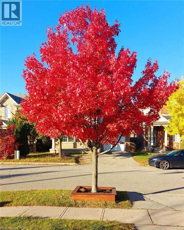 23 Mayo Avenue, Cambridge, Ontario  N1T 2E8 - Photo 44 - 40794905