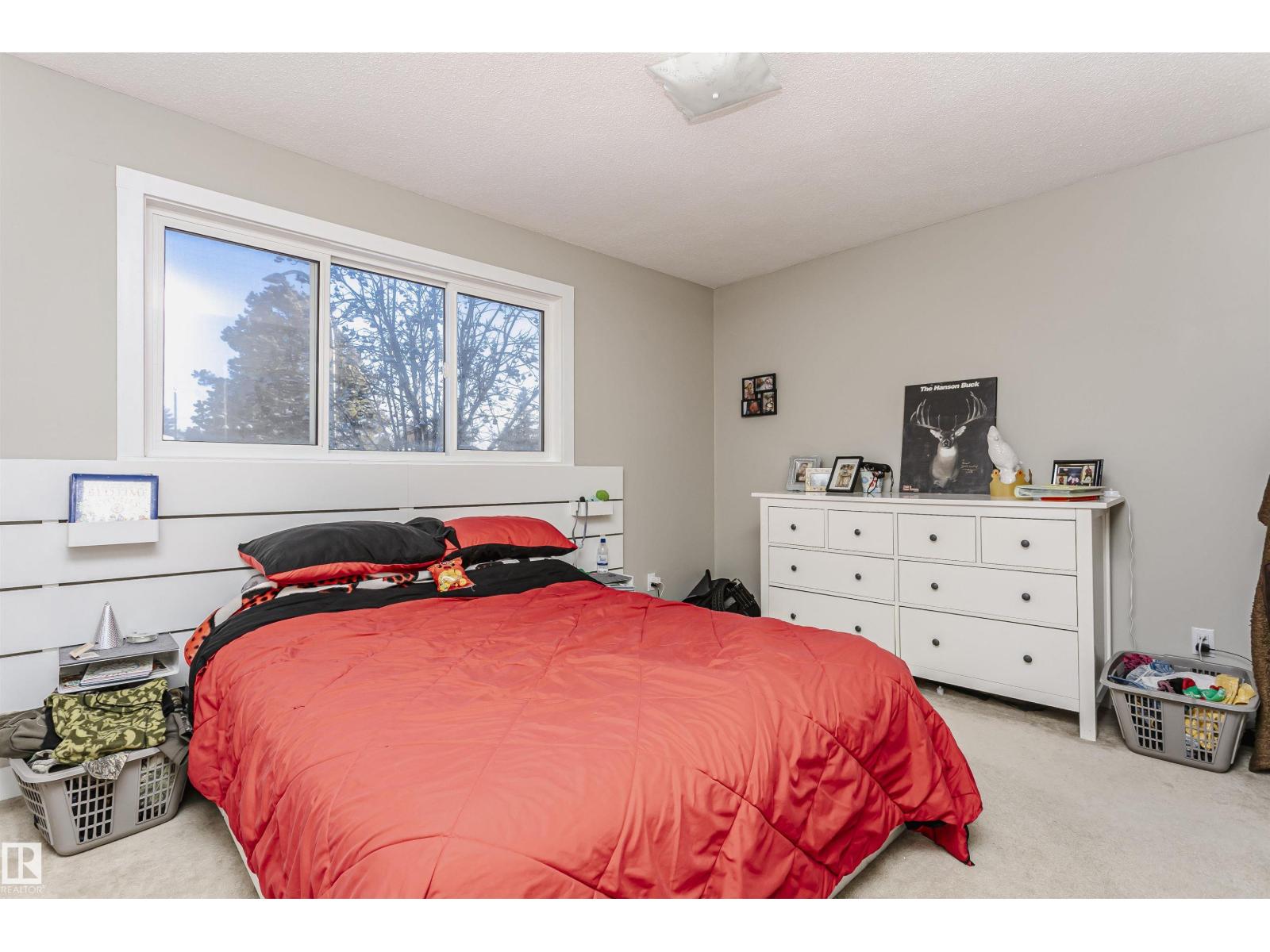 4436 117 St Nw, Edmonton, Alberta  T6J 1T9 - Photo 25 - E4469632