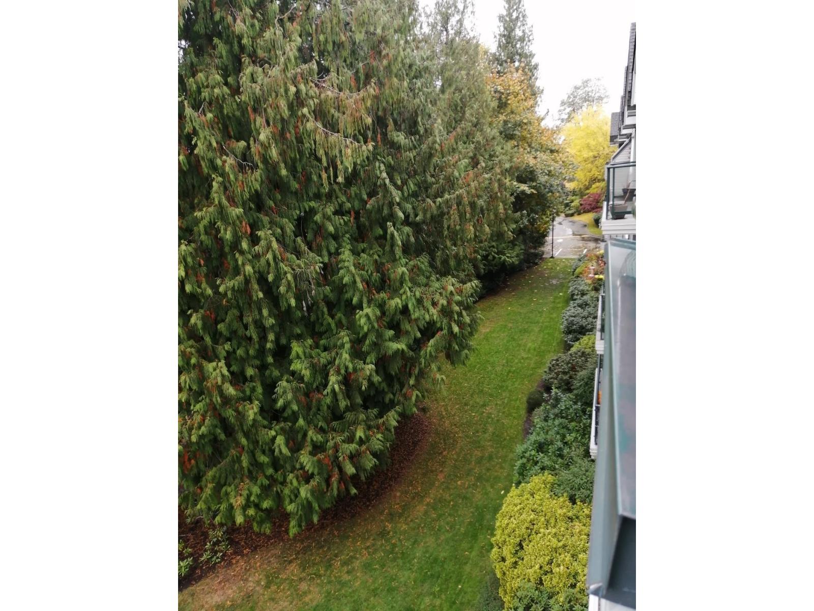 407 33708 King Road, Abbotsford, British Columbia  V2S 8C6 - Photo 35 - R3058794