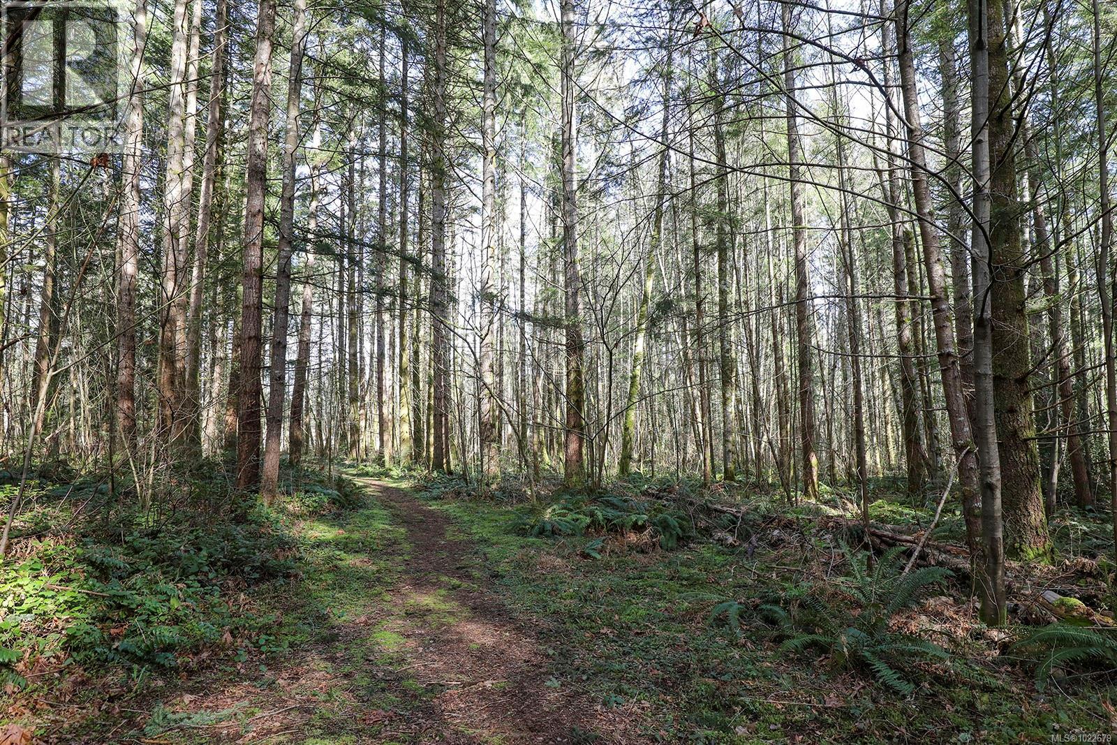 7792 Island Hwy N, Black Creek, British Columbia  V9J 1G5 - Photo 20 - 1022679