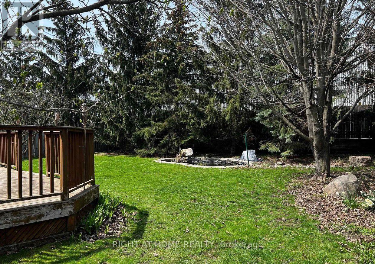 43 Doris Crescent, Newmarket, Ontario  L3Y 7V3 - Photo 15 - N12682778