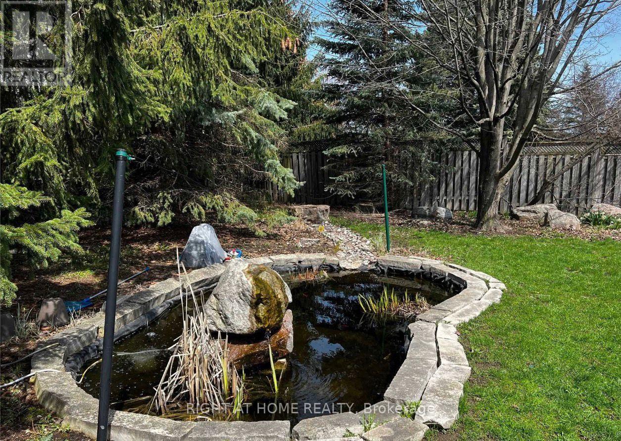 43 Doris Crescent, Newmarket, Ontario  L3Y 7V3 - Photo 16 - N12682778