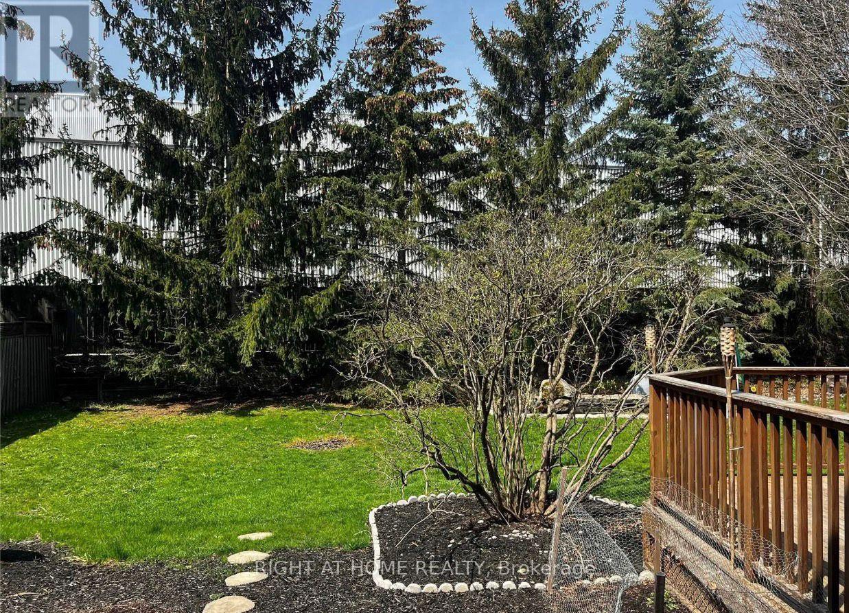 43 Doris Crescent, Newmarket, Ontario  L3Y 7V3 - Photo 6 - N12682778