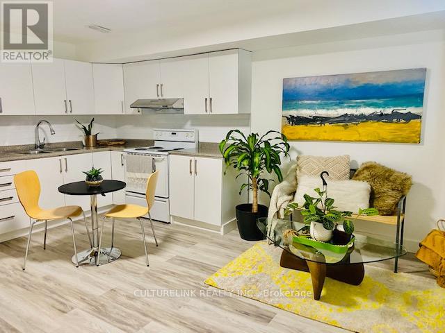 Lower - 918 St Clarens Avenue, Toronto, Ontario  M6H 3X6 - Photo 2 - W12682794