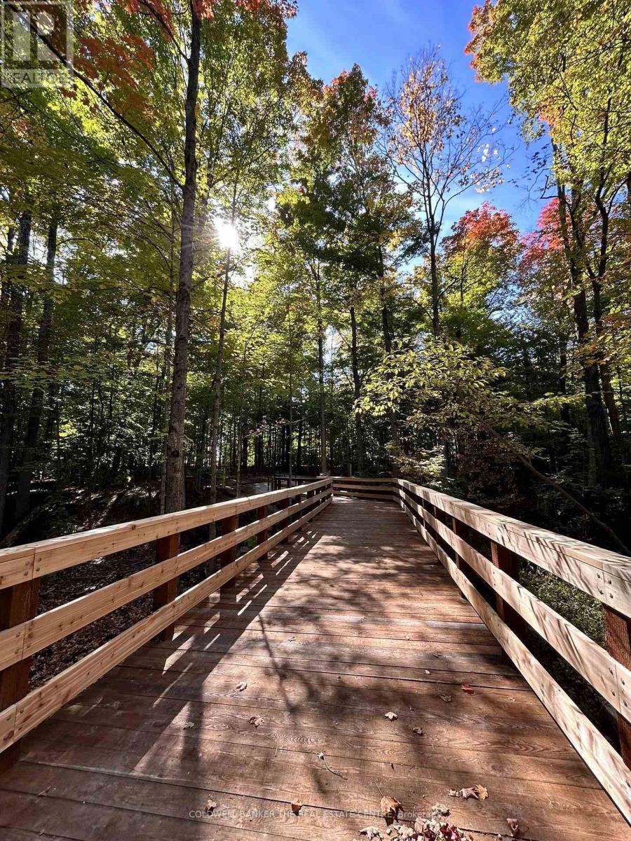 351 - 555 William Graham Drive, Aurora, Ontario  L4G 7C4 - Photo 23 - N12682910