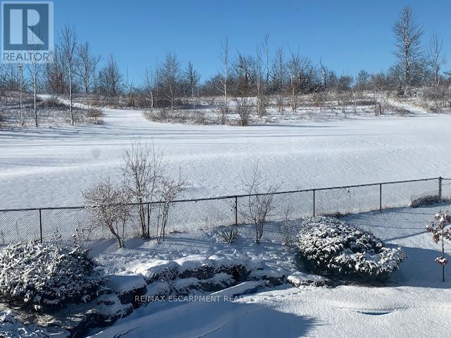 22 Weneil Drive, Hamilton, Ontario  L8B 0Z6 - Photo 48 - X12682928