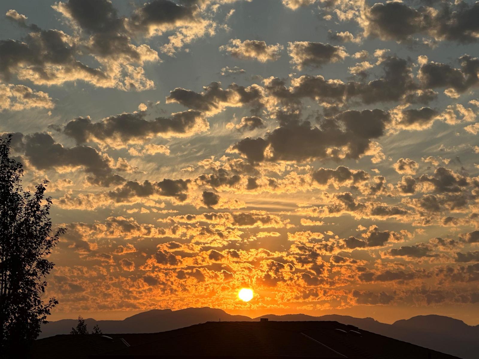 152 51075 Falls Court, Eastern Hillsides, Chilliwack, British Columbia  V4Z 1K7 - Photo 40 - R3075977