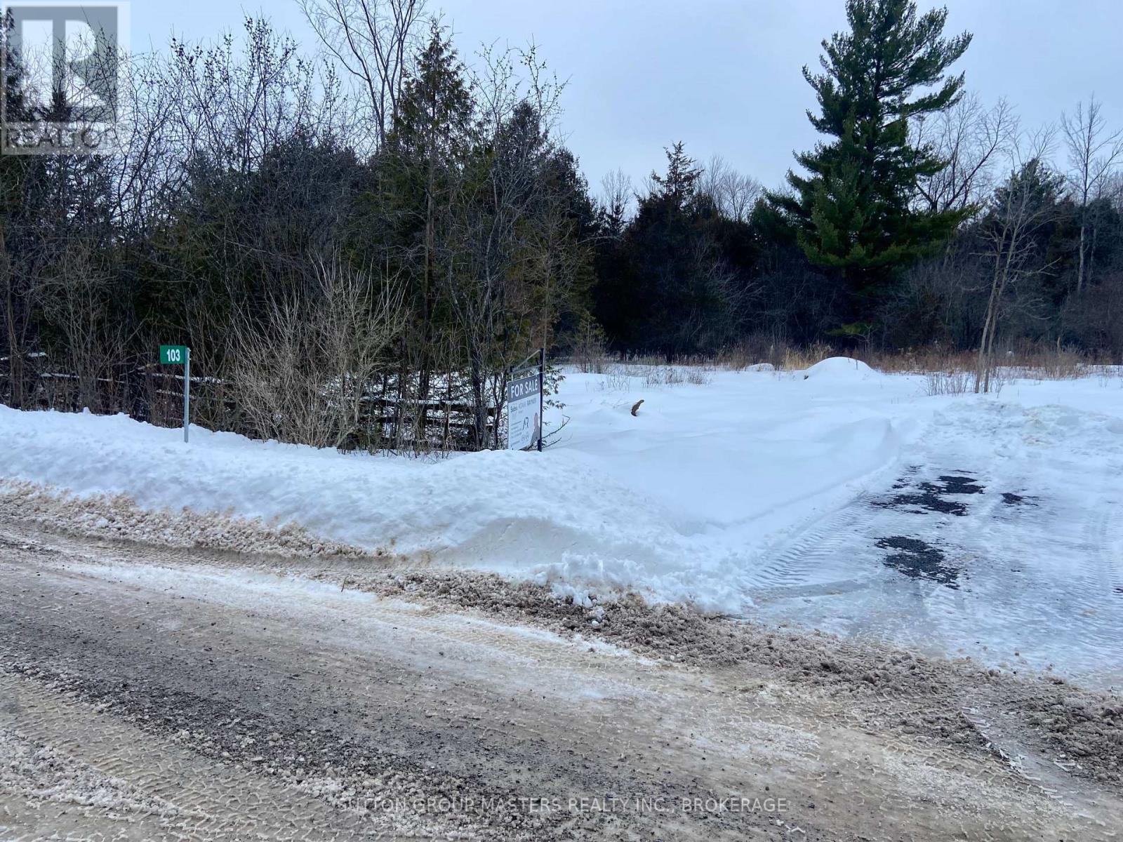 103 Estis Road, Stone Mills, Ontario  K0K 3N0 - Photo 9 - X12679490