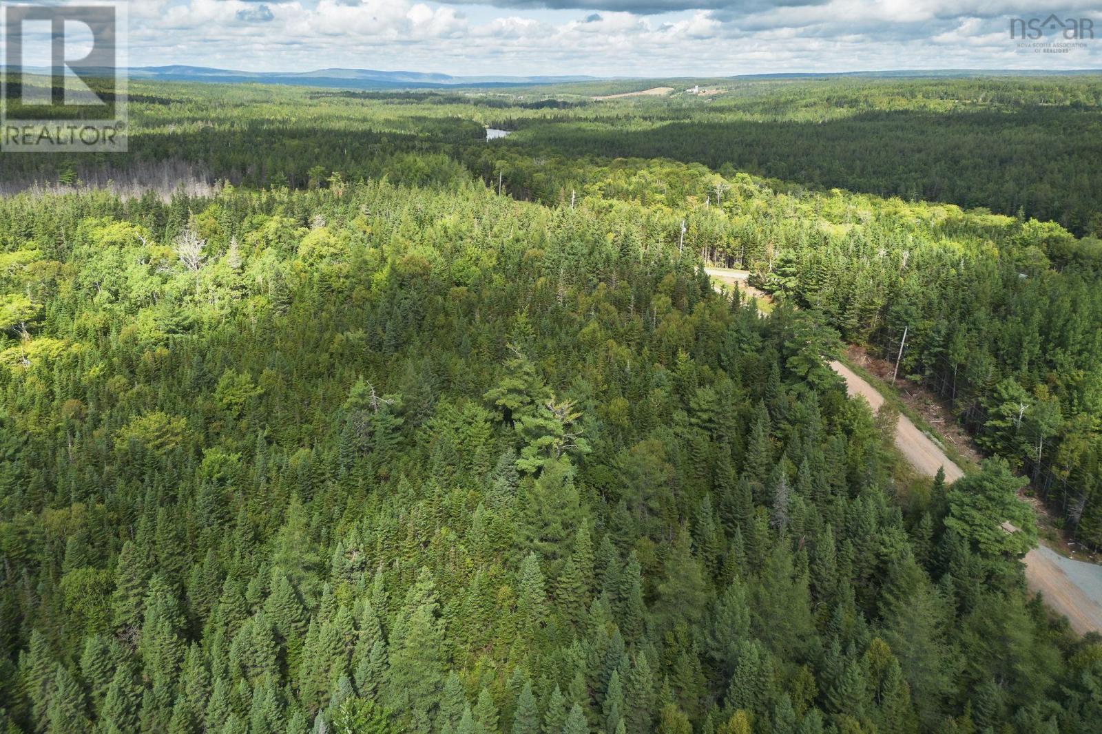 Lot 20 Helmuts Lane, Cleveland, Nova Scotia  B0E 1J0 - Photo 13 - 202600454