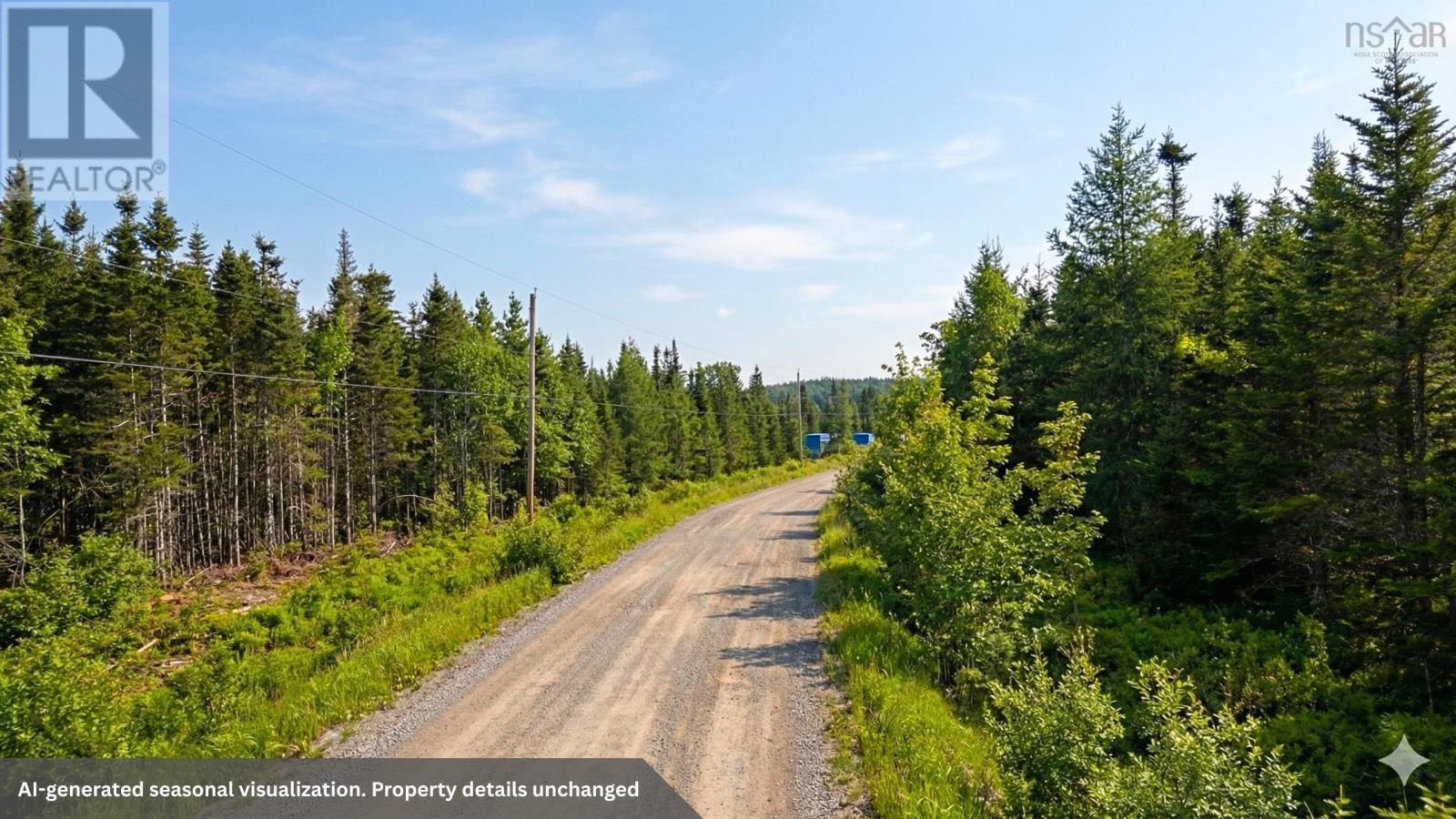 Lot 20 Helmuts Lane, Cleveland, Nova Scotia  B0E 1J0 - Photo 4 - 202600454