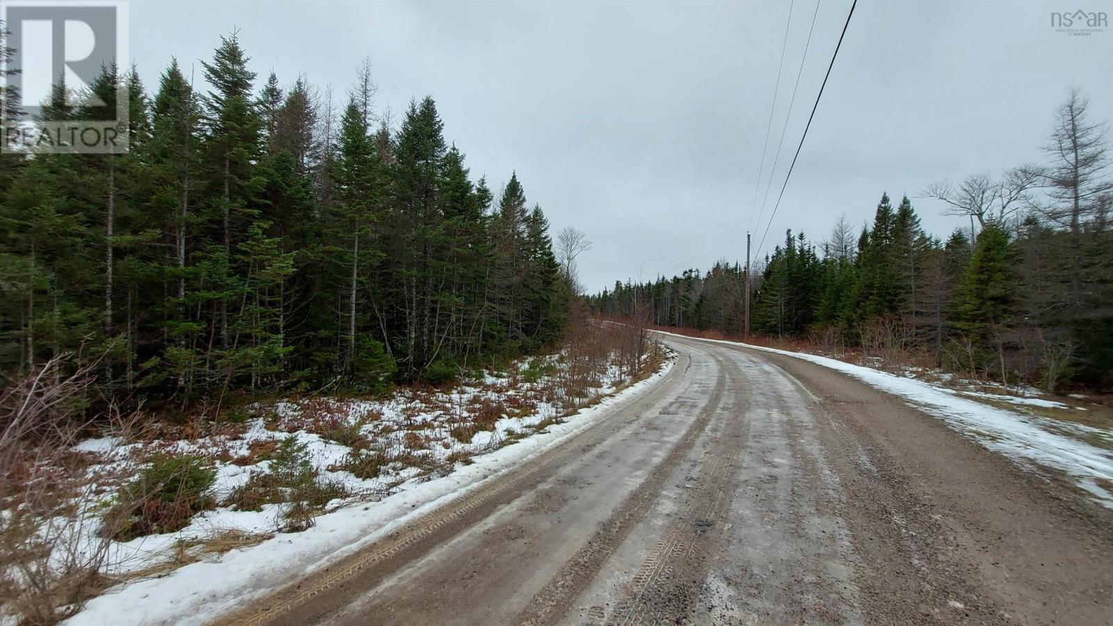 Lot 20 Helmuts Lane, Cleveland, Nova Scotia  B0E 1J0 - Photo 8 - 202600454