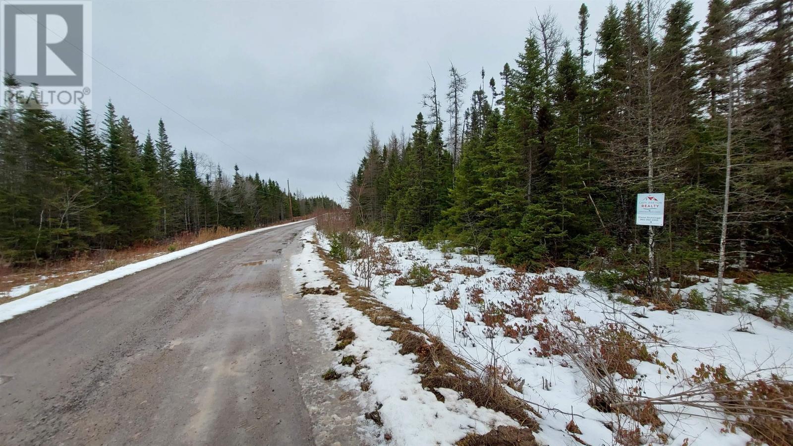 Lot 20 Helmuts Lane, Cleveland, Nova Scotia  B0E 1J0 - Photo 9 - 202600454