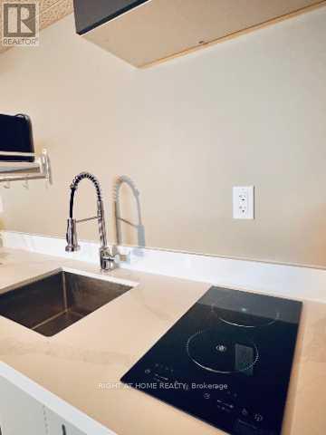 Basement - 30 Marowyne Drive, Toronto (Don Valley Village), Ontario  M2J 2A4 - Photo 2 - C12683006