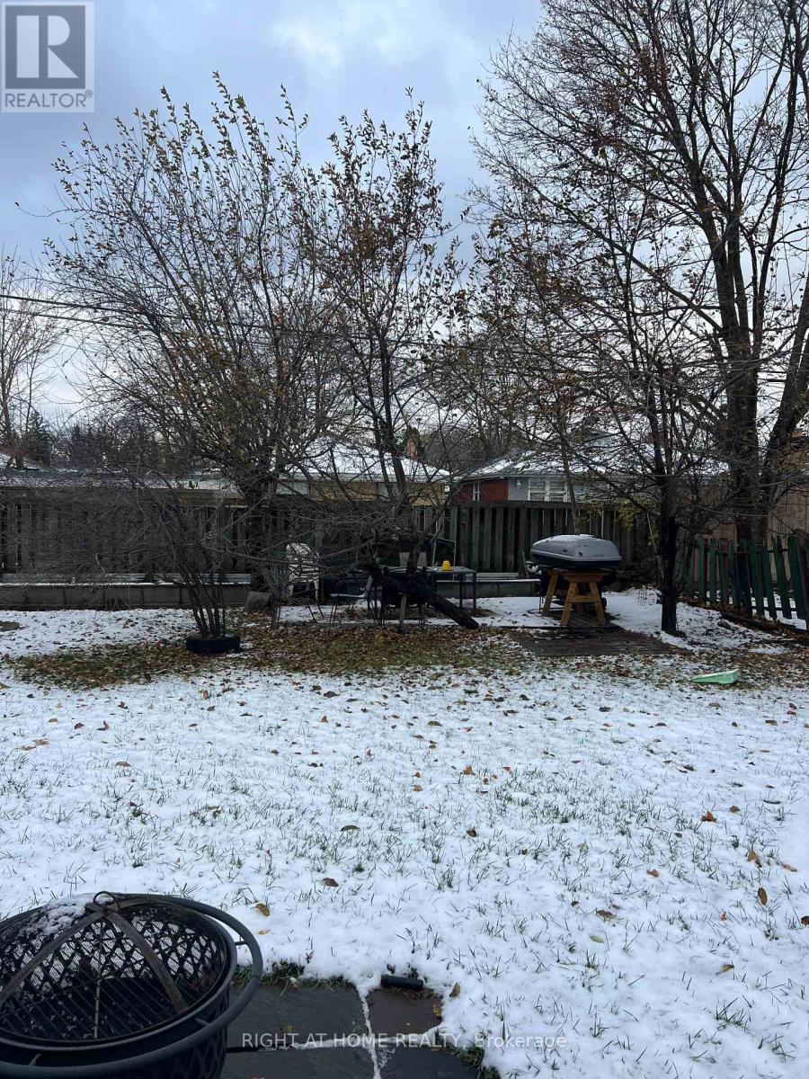 Main/lower Bsmt - 14 Tofield Crescent, Toronto, Ontario  M9W 2B9 - Photo 12 - W12683000