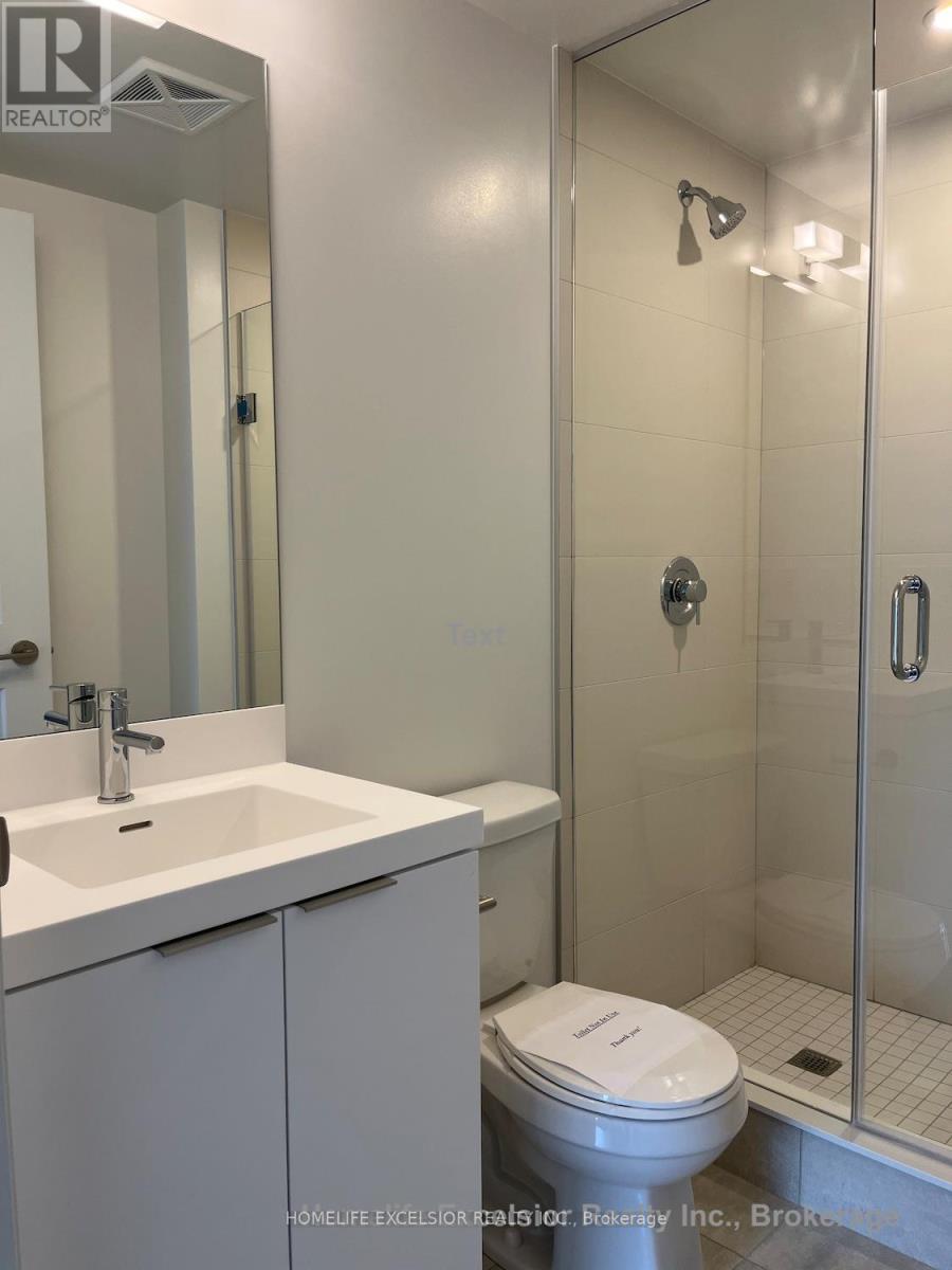 4511 - 8 Widmer Street, Toronto, Ontario  M5V 0W6 - Photo 11 - C12683154