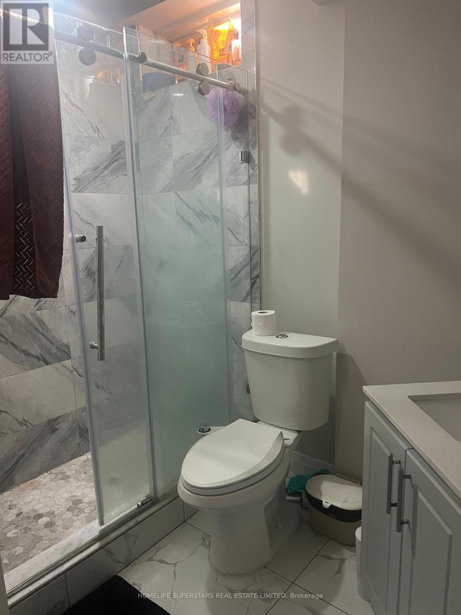 Basement - 161 Tiller Trail, Brampton, Ontario  L6X 4S9 - Photo 8 - W12683160