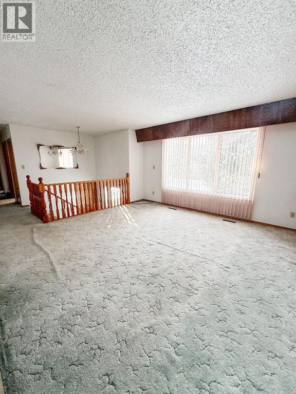 4609 47 Street, Mayerthorpe, Alberta  T0E 1N0 - Photo 10 - A2275454