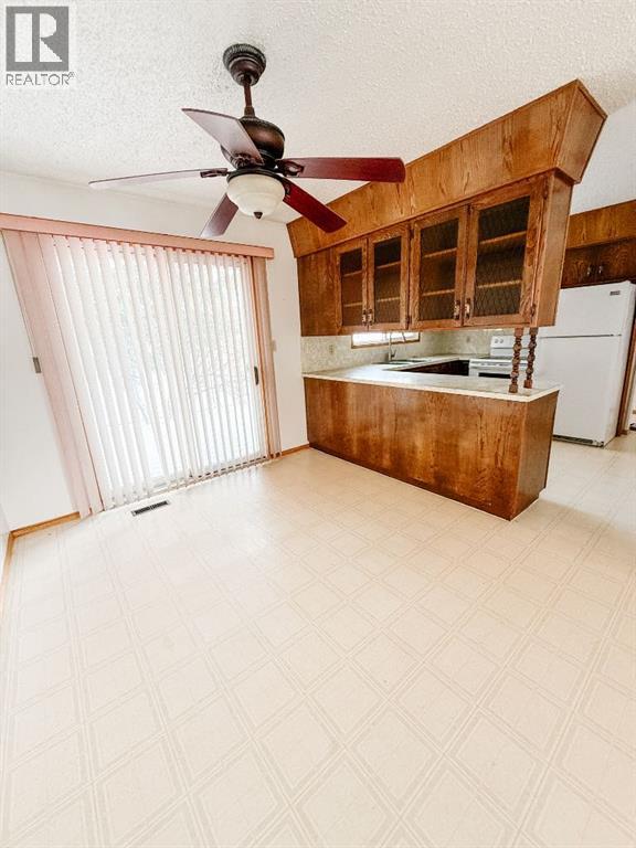 4609 47 Street, Mayerthorpe, Alberta  T0E 1N0 - Photo 11 - A2275454