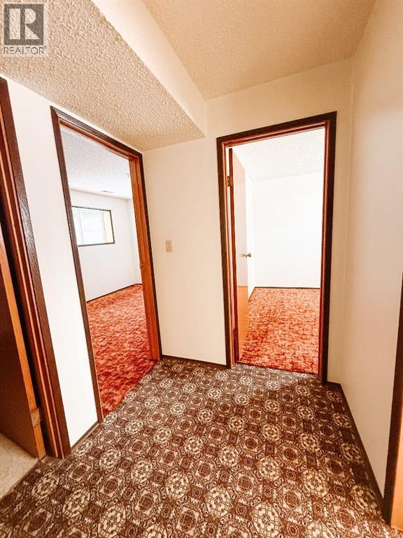 4609 47 Street, Mayerthorpe, Alberta  T0E 1N0 - Photo 23 - A2275454