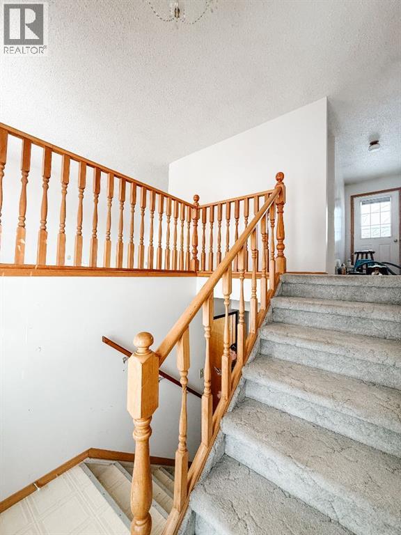 4609 47 Street, Mayerthorpe, Alberta  T0E 1N0 - Photo 6 - A2275454