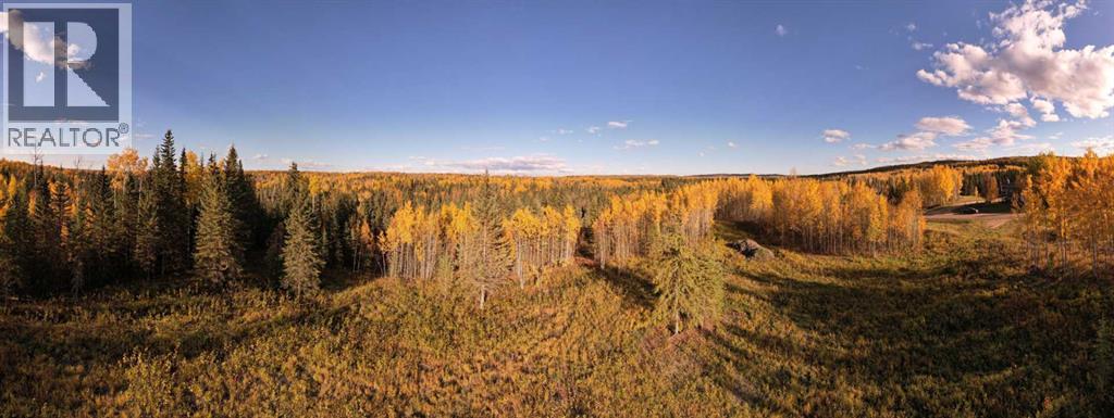 Lot 5 114046 Township 590, Rural Woodlands County, Alberta  T7S 0A1 - Photo 7 - A2277619