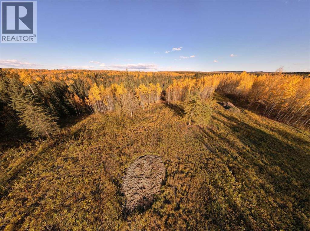 Lot 5 114046 Township 590, Rural Woodlands County, Alberta  T7S 0A1 - Photo 8 - A2277619