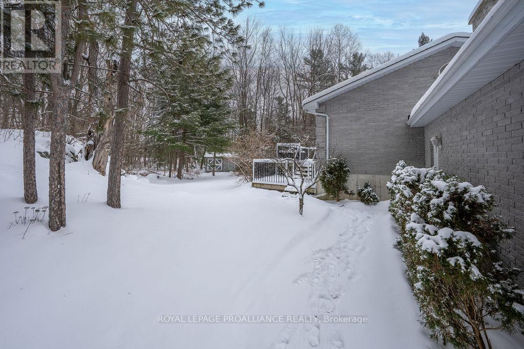 37 Mccrea Court, Tweed, Ontario  K0K 3J0 - Photo 21 - X12500146