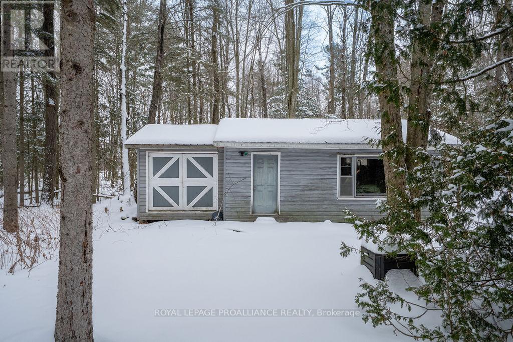 37 Mccrea Court, Tweed, Ontario  K0K 3J0 - Photo 22 - X12500146