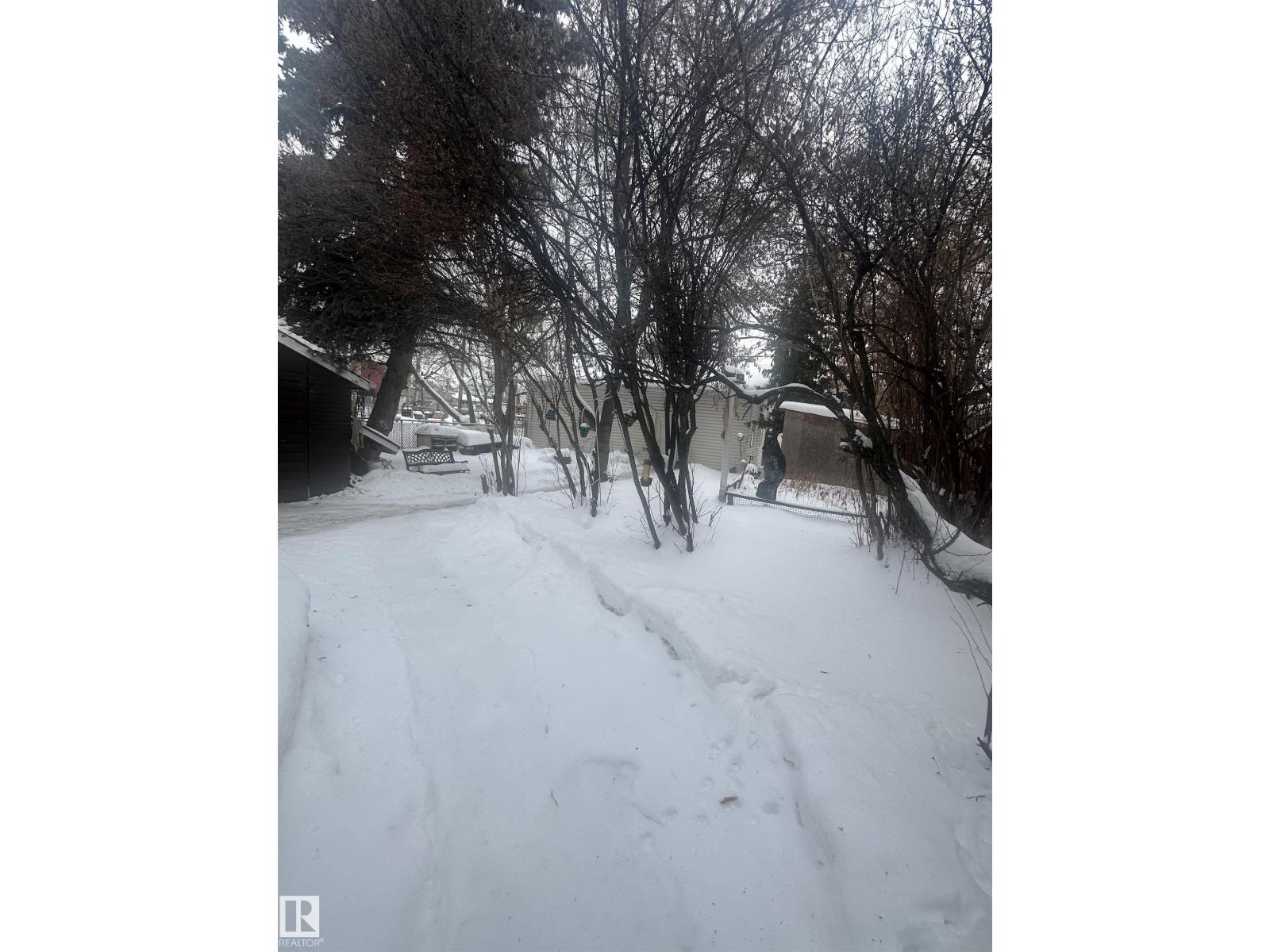 11737 125 St Nw, Edmonton, Alberta  T5M 0N7 - Photo 4 - E4469512