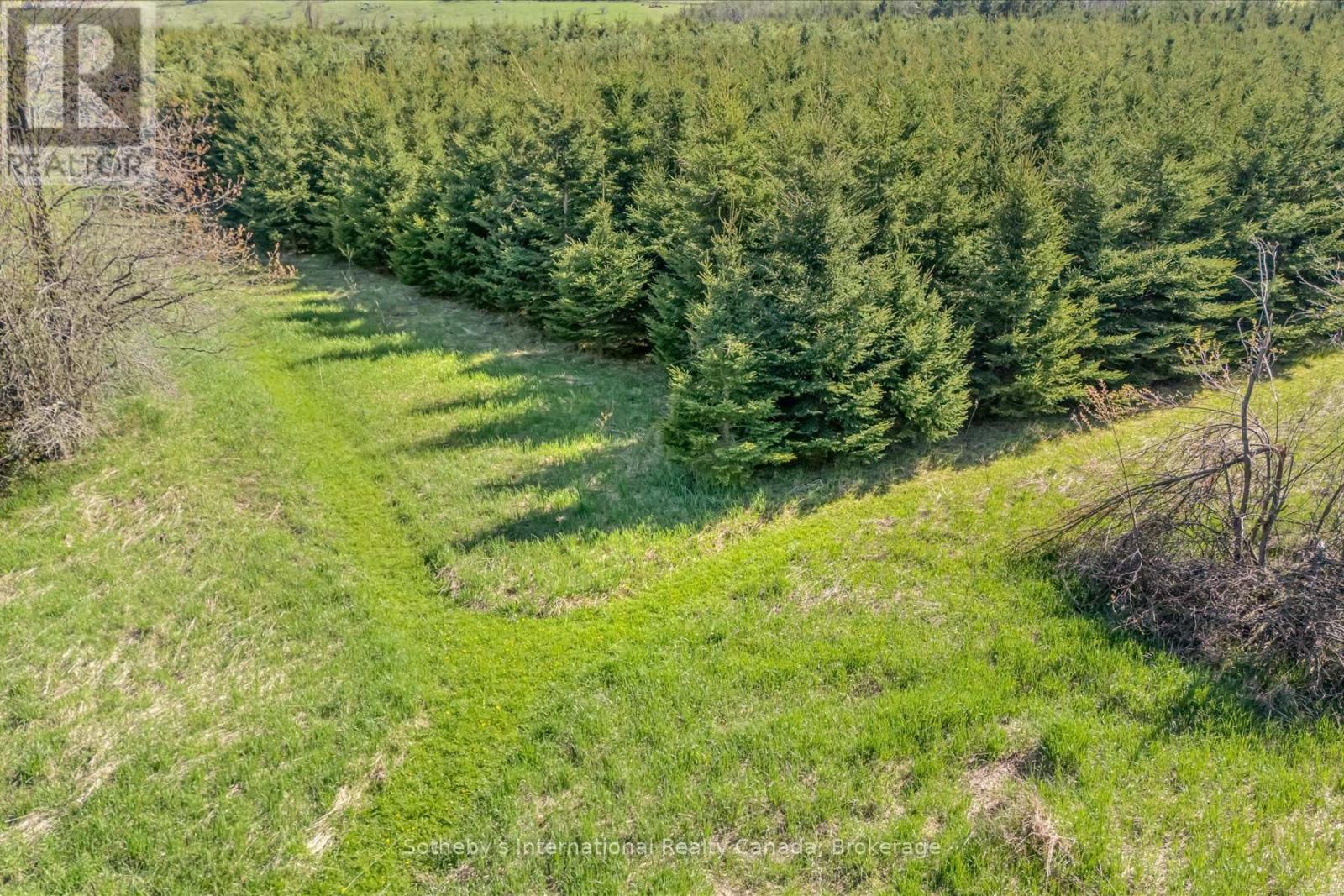 717218 1st Line E, Mulmur, Ontario  L9V 0G2 - Photo 42 - X12683684