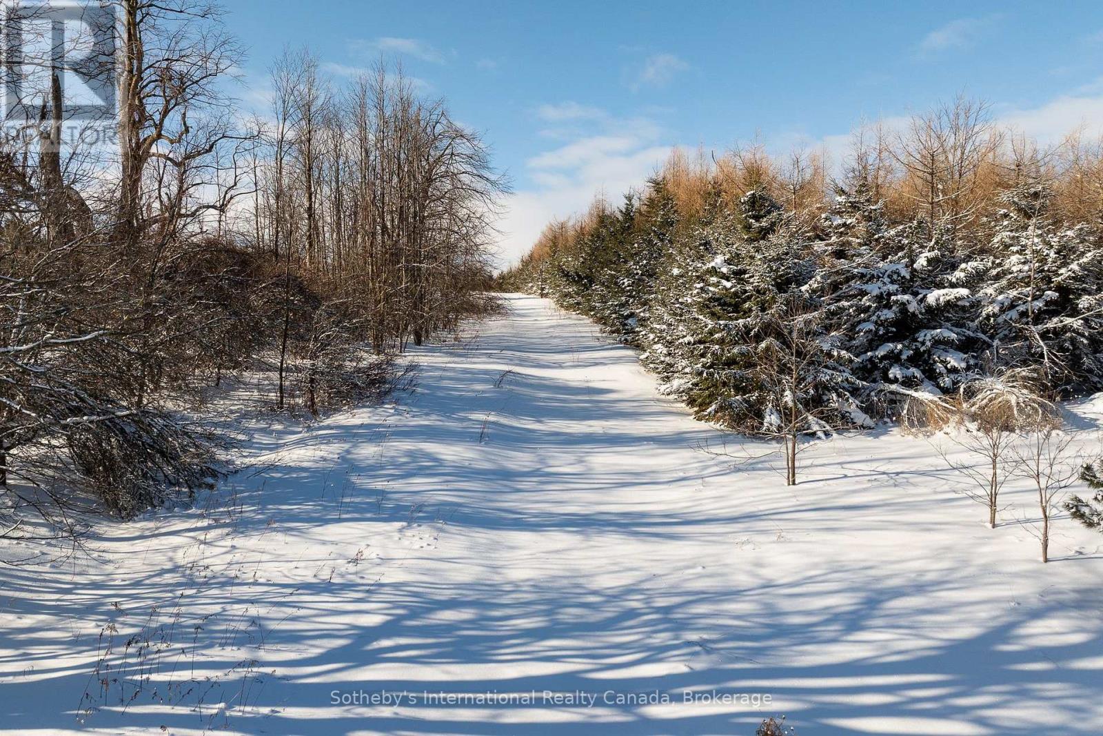 717218 1st Line E, Mulmur, Ontario  L9V 0G2 - Photo 45 - X12683684