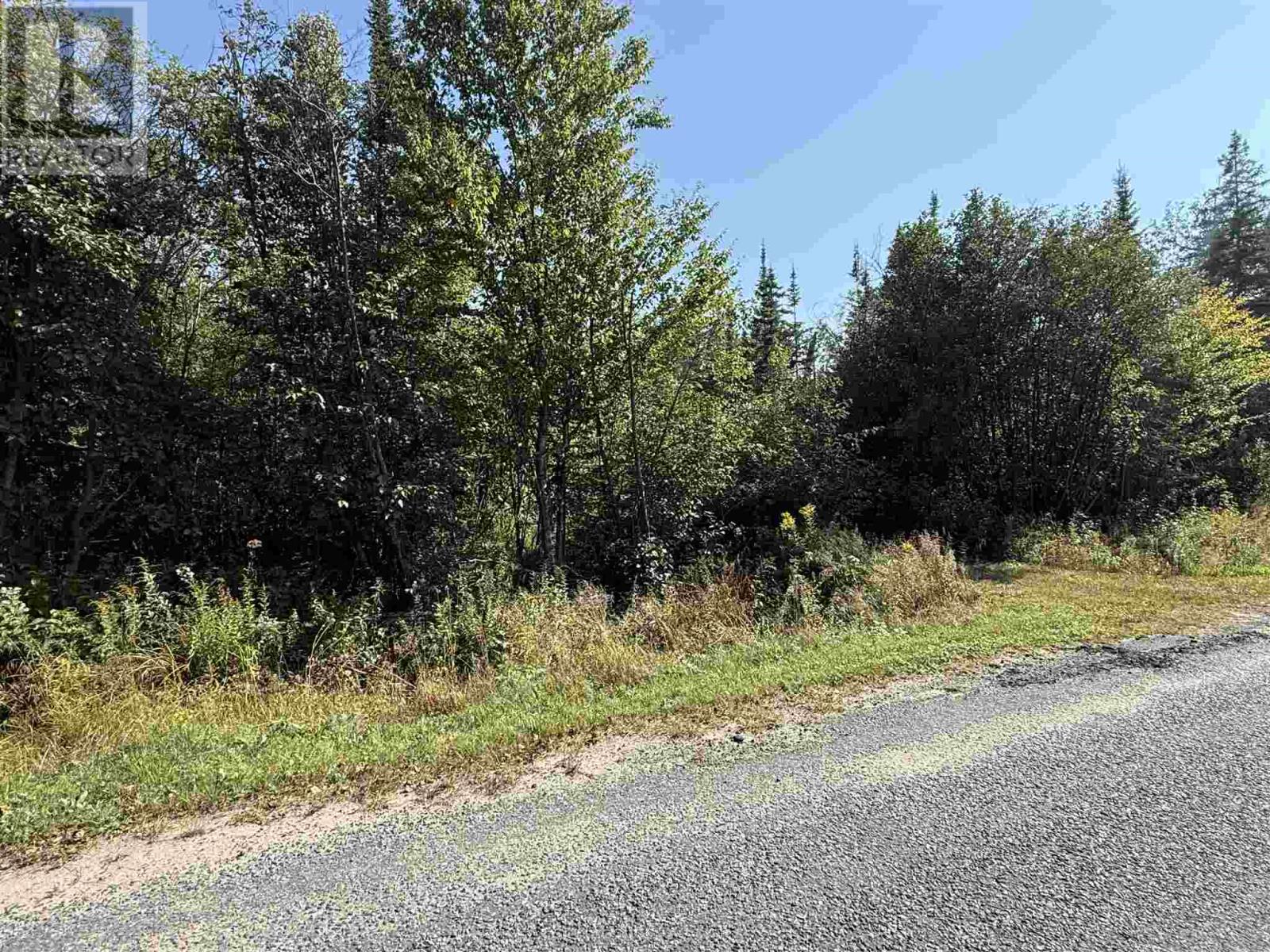 Lot 77 Lakeshore Dr S, Dennis Township, Ontario  P6A 5K8 - Photo 2 - SM252624
