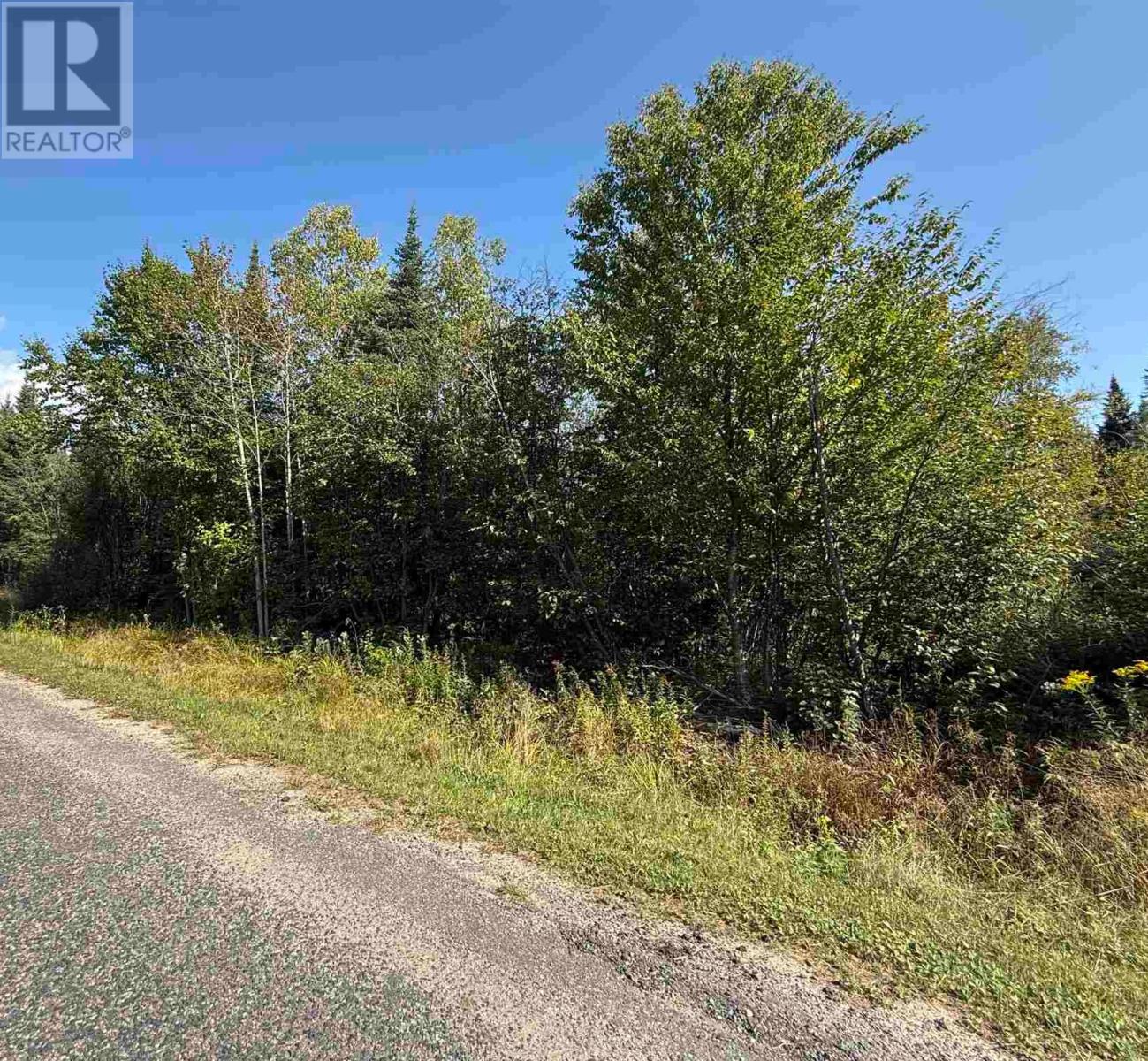 Lot 77 Lakeshore Dr S, Dennis Township, Ontario  P6A 5K8 - Photo 3 - SM252624