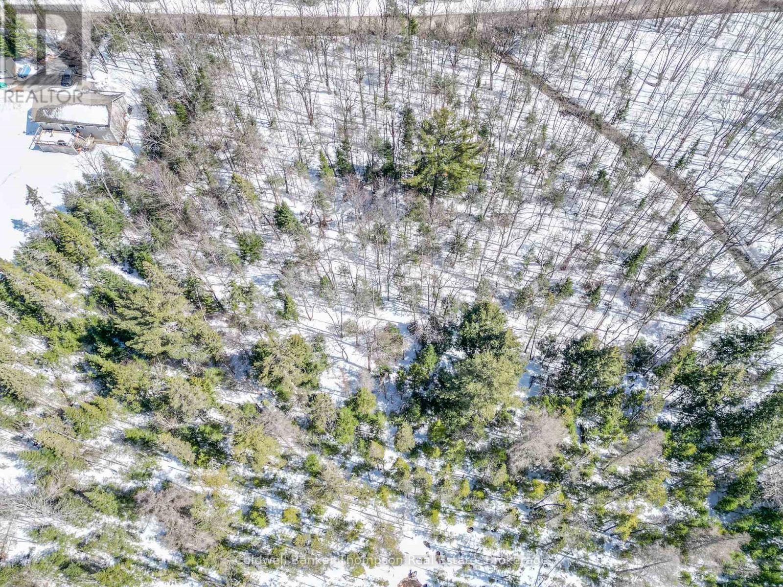 989 North Waseosa Lake Road, Huntsville, Ontario  P1H 2J4 - Photo 2 - X12683896