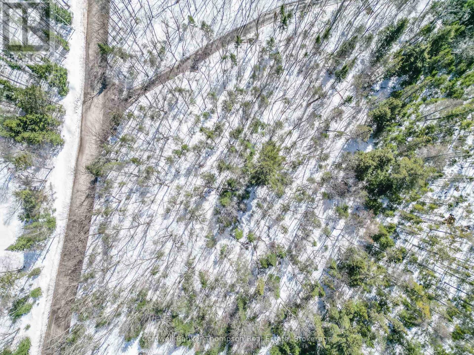 989 North Waseosa Lake Road, Huntsville, Ontario  P1H 2J4 - Photo 5 - X12683896