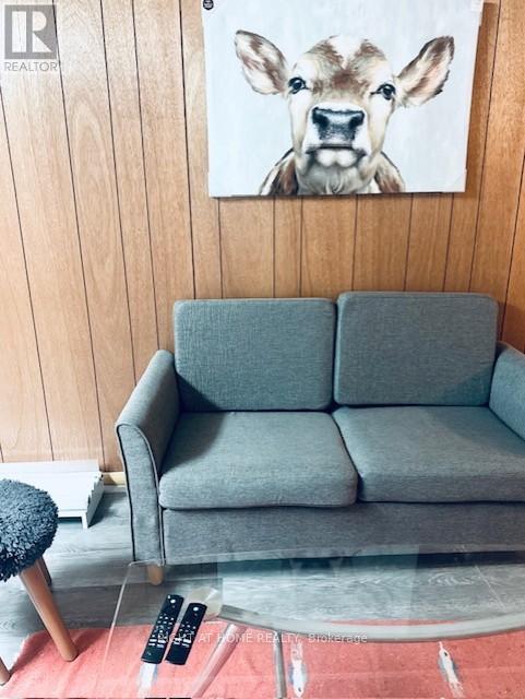 Basement - 30 Marowyne Drive, Toronto, Ontario  M2J 2A4 - Photo 7 - C12683006