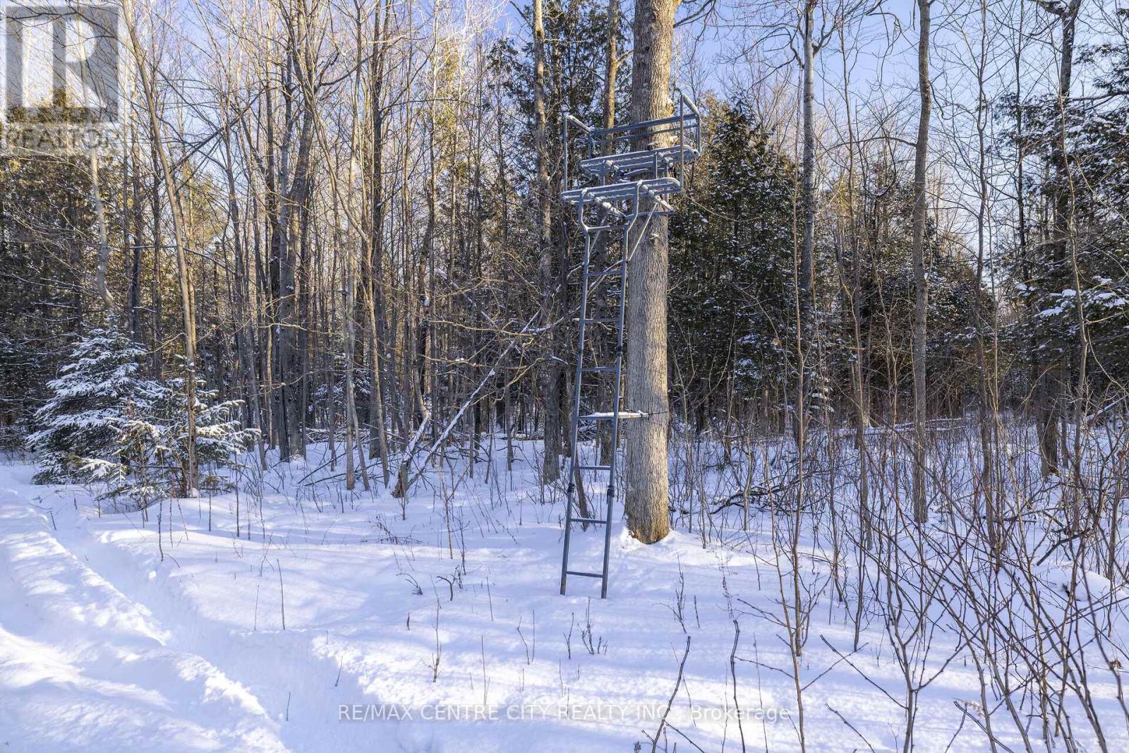 19267 County Road 25, South Glengarry, Ontario  K0C 1B0 - Photo 27 - X12684022