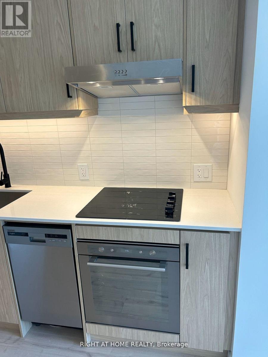 1017 - 9 Tecumseth Street, Toronto, Ontario  M5V 3G4 - Photo 7 - C12684090