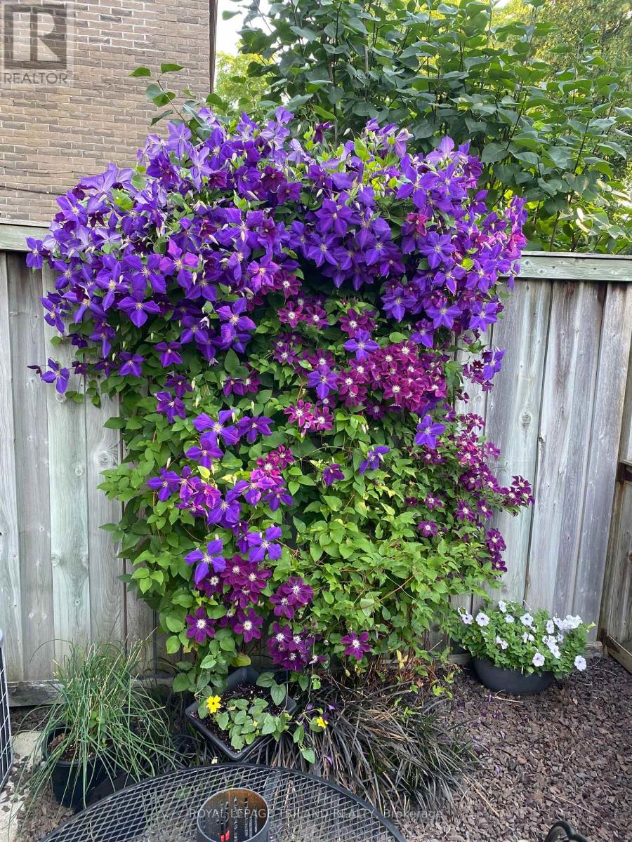 39 - 676 Wonderland Road S, London South, Ontario  N6H 4Y8 - Photo 31 - X12681280