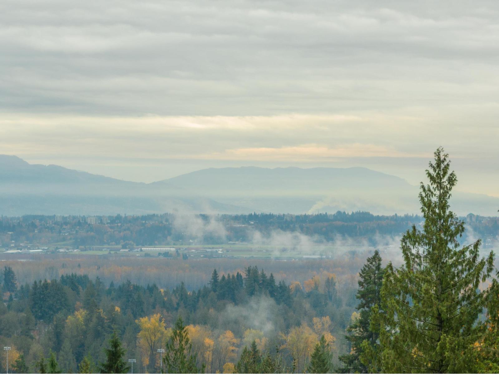 31730 Viewcrest Avenue, Mission, British Columbia  V4S 1E7 - Photo 40 - R3075315