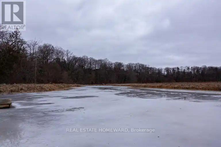 272 Taylor Road, Toronto, Ontario  M1C 2R6 - Photo 11 - E12684304