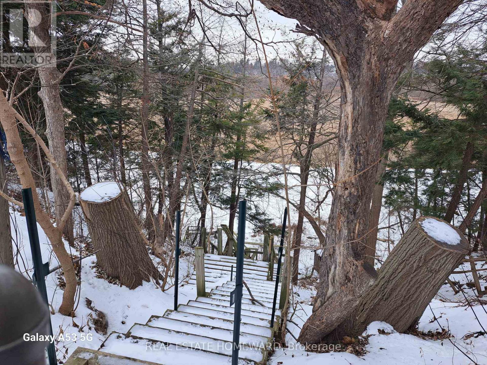 272 Taylor Road, Toronto, Ontario  M1C 2R6 - Photo 9 - E12684304