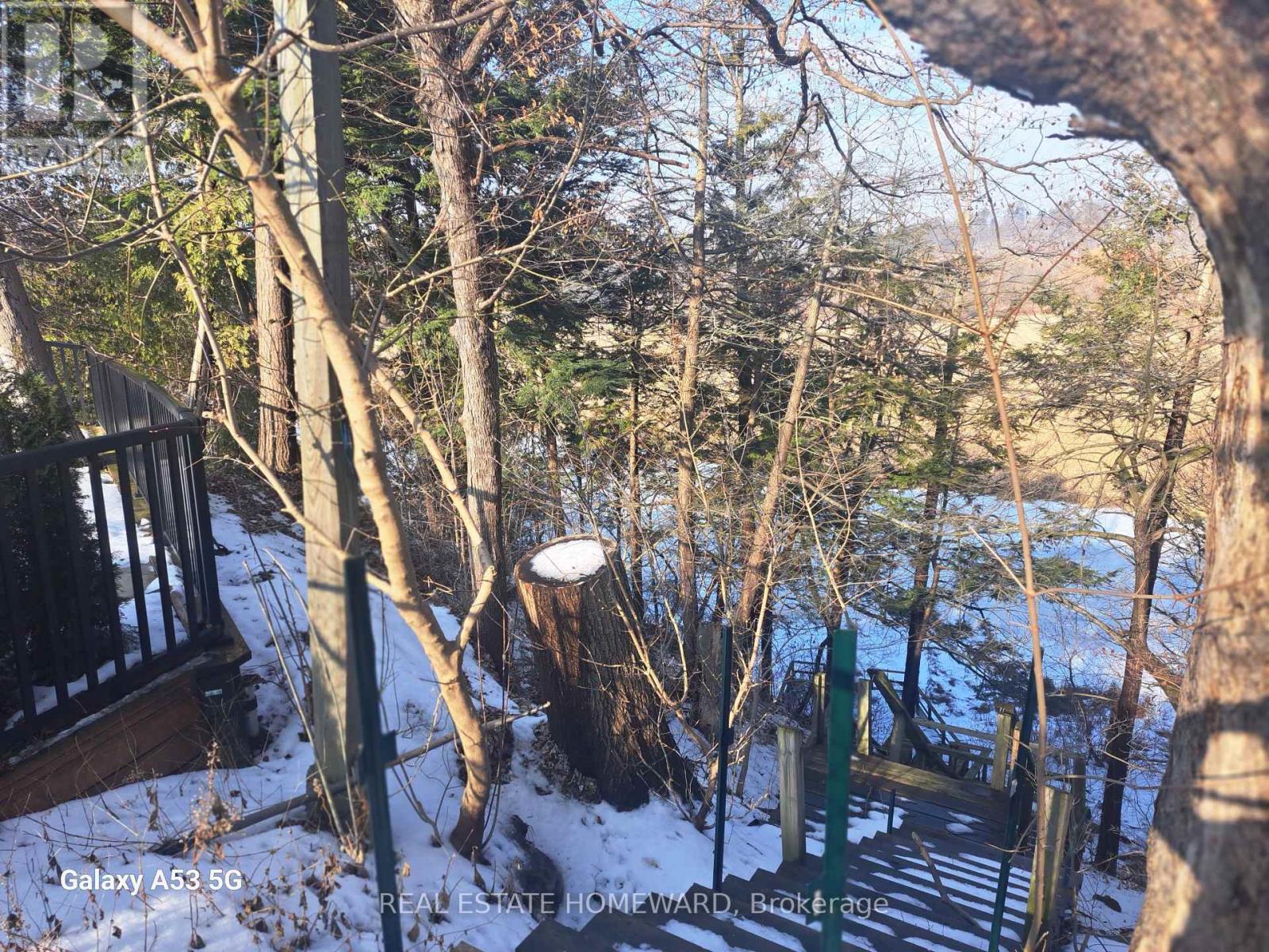 272 Taylor Road, Toronto, Ontario  M1C 2R6 - Photo 8 - E12684304