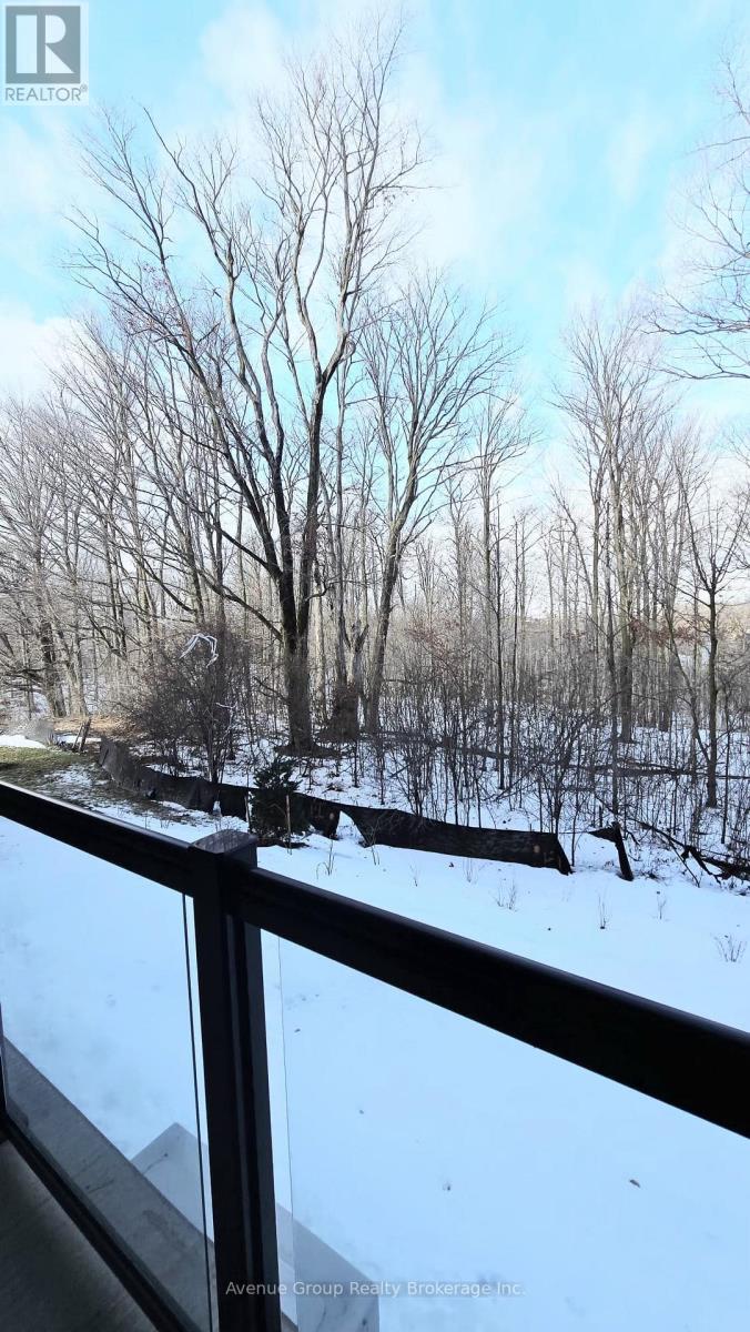 105 - 1100 Lackner Place, Kitchener, Ontario  N2A 0M1 - Photo 23 - X12684342