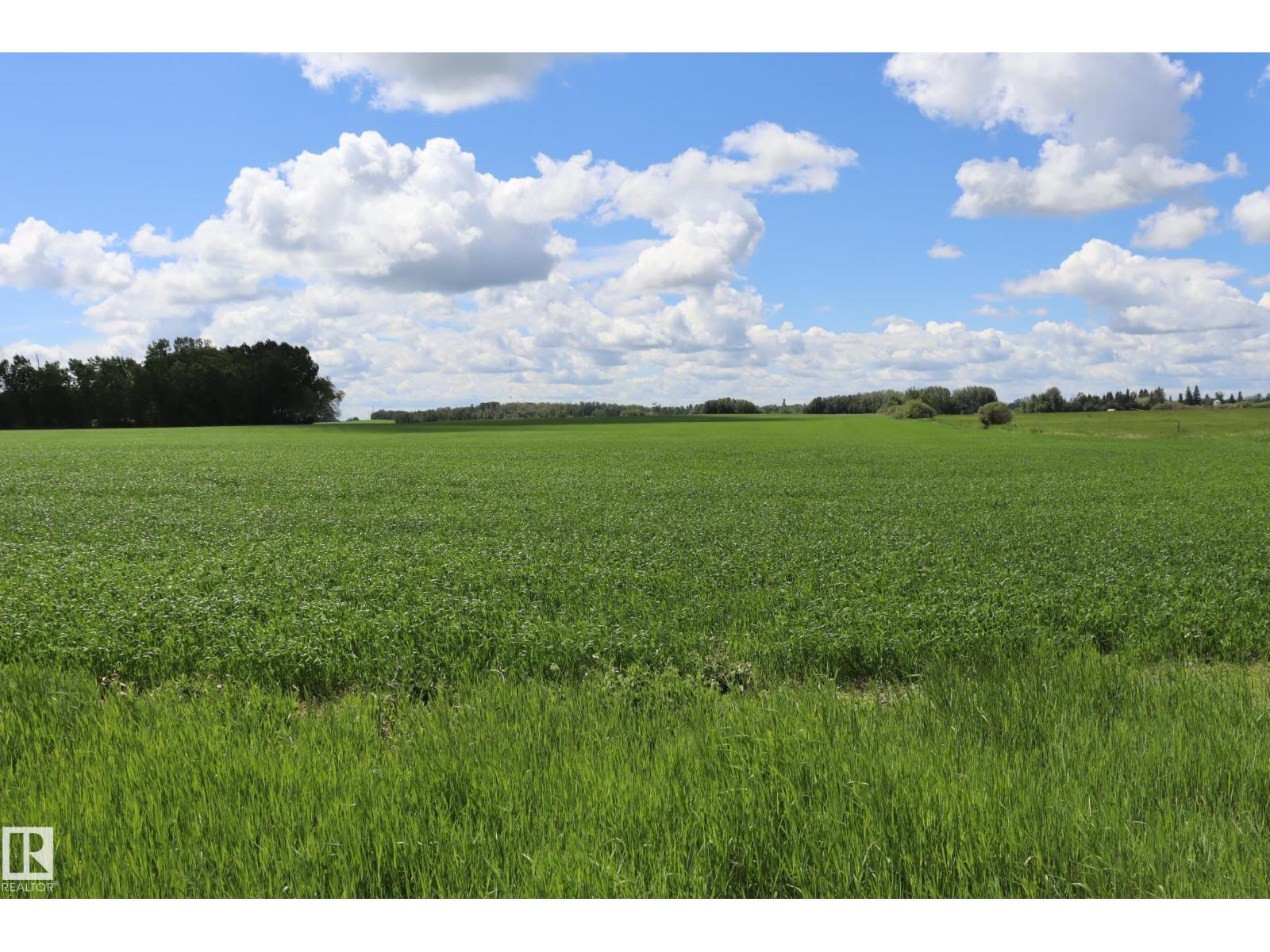 #17 470026 2453a, Rural Wetaskiwin County, Alberta T9A 1W8 - Photo 11 - E4468773
