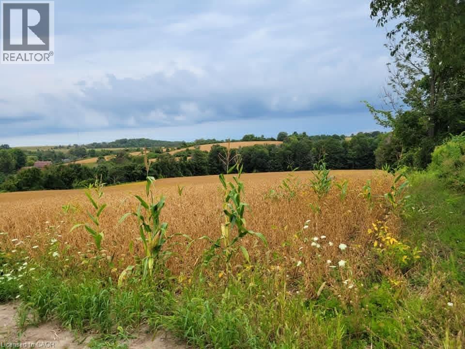 979 County Rd 30 Road, Brighton, Ontario  K0K 1H0 - Photo 3 - 40797642